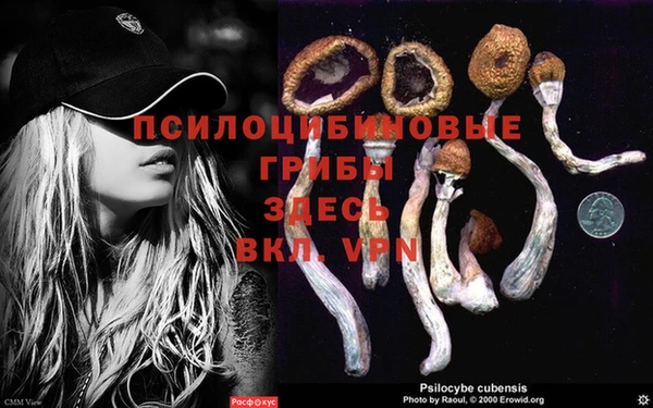 спайс Арсеньев