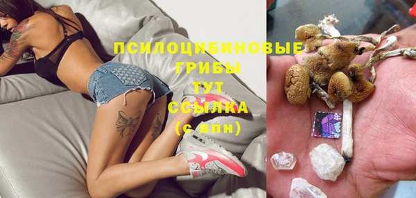 трава Армянск