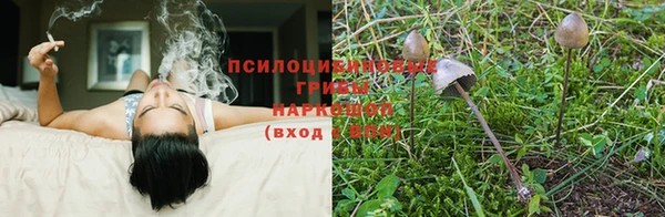 спайс Арсеньев