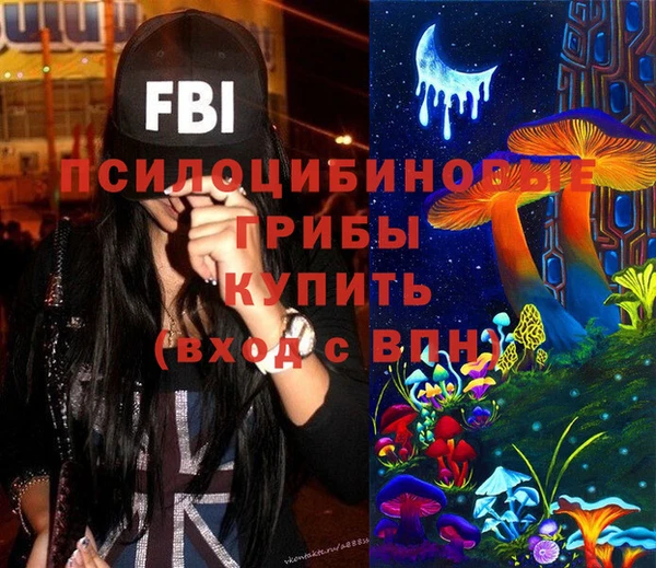спайс Арсеньев