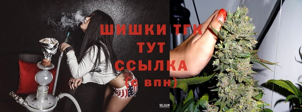 прущие крисы Аркадак
