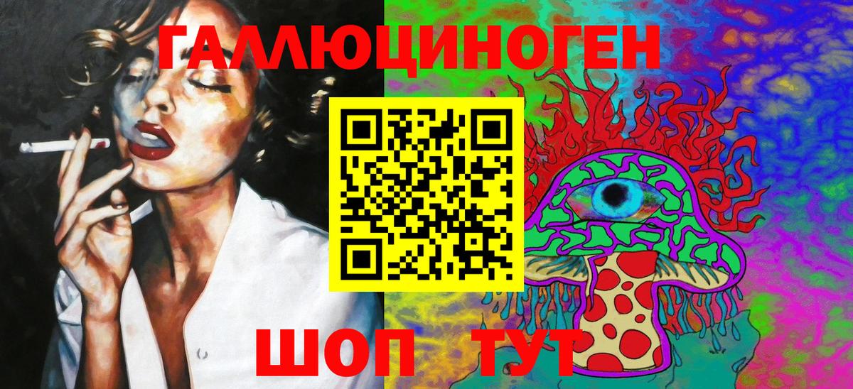 Псилоцибиновые грибы прущие грибы Бор